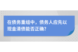 洛南为什么选择专业追讨公司来处理您的债务纠纷？